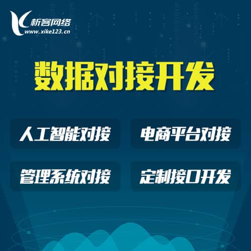 白沙黎族智能数据对接