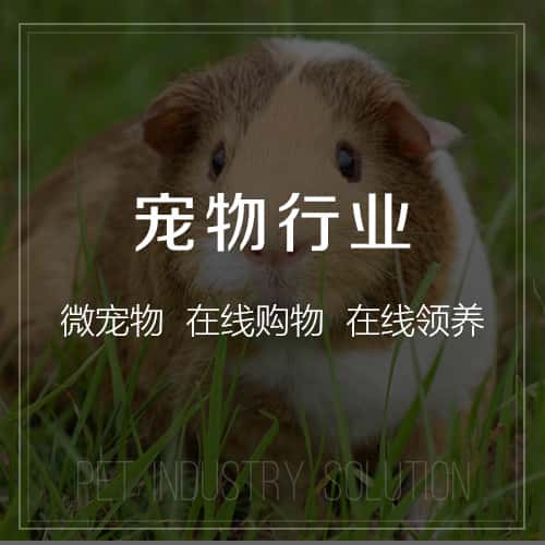 白沙黎族宠物