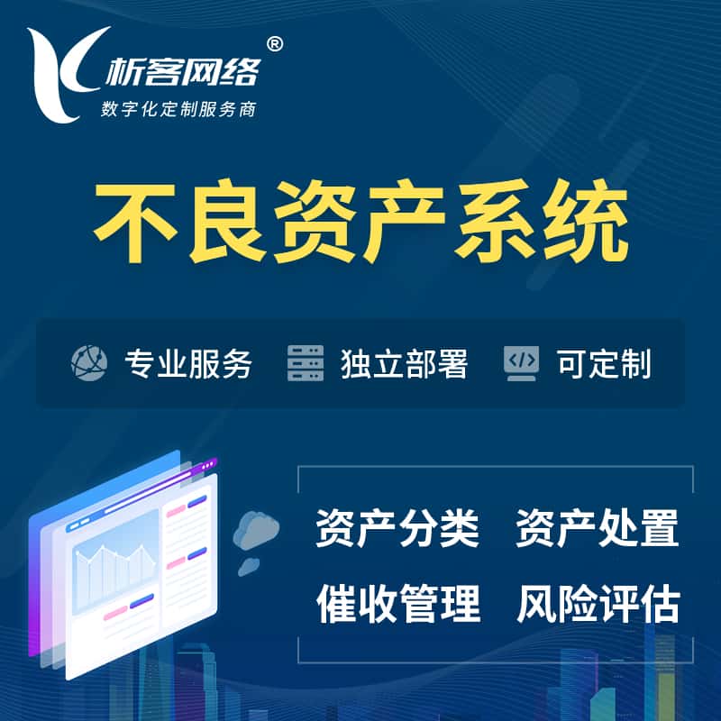白沙黎族不良资产管理系统