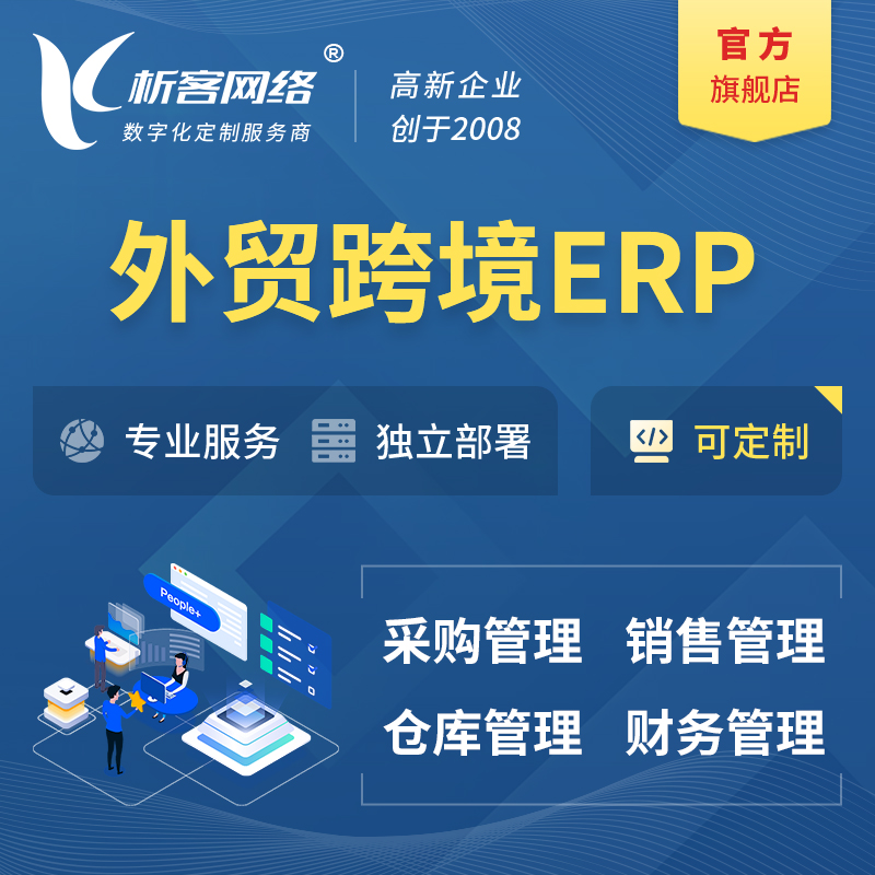 白沙黎族外贸跨境ERP软件生产海外仓ERP管理系统